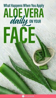 What Happens When You Apply Aloe Vera Daily On Your Face: In fact, if you read the ingredients section of most of the skincare products, you’re bound to come across “includes aloe extract” everywhere. So, why buy aloe products when you can use aloe vera in its natural form? Here’s a list of benefits that aloe offers. #skincare #beauty #beautytips #aloevera #diybeauty #HowHealthyIsNutritionForYou #HowDoesAHealthyNutritionHelp Aloe Vera For Face, Face Creams, Aloe Vera Gel, What Happens When You, Healthy Nutrition, Skin Problems