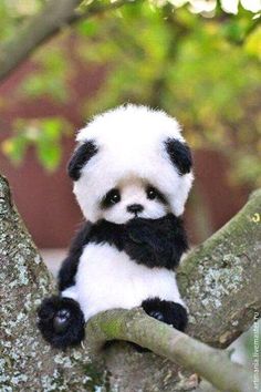 a stuffed panda bear sitting in a tree