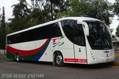 a white bus is parked on the side of the road in front of some trees