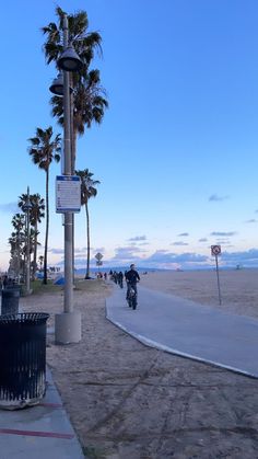 a man riding a motorcycle down a sidewalk next to palm tree lined beach side walk