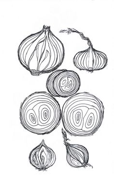 an image of onions drawn in black and white