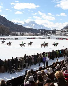 people watching horses race in the snow with mountains in the backgrouds behind them