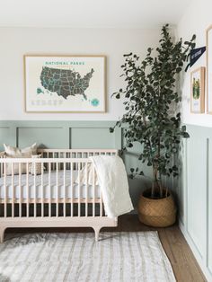 a baby's room with a crib, plant and pictures on the wall