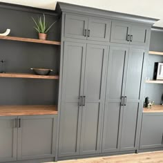 an empty room with gray cabinets and wooden shelves on the wall, along with a potted plant