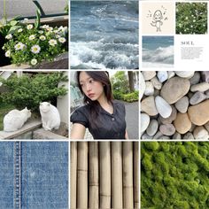 a collage of photos with rocks, plants and flowers in them is shown here