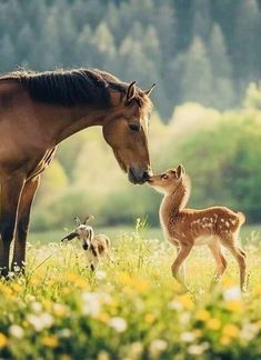 a horse and its foal are standing in the grass near some wildflowers