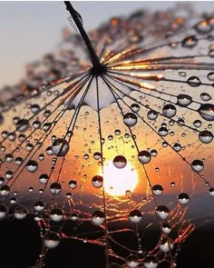 the sun is setting behind an umbrella with water droplets on it, as seen from below