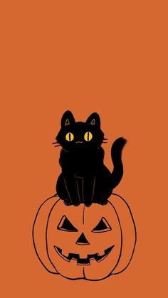 a black cat sitting on top of a pumpkin