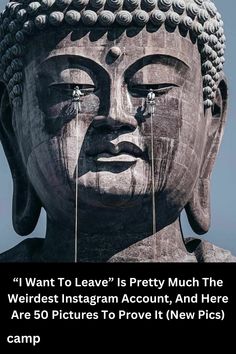 a buddha statue with the caption i want to leave is pretty much the weirdest instagram account, and here are 50 pictures to prove it new pics