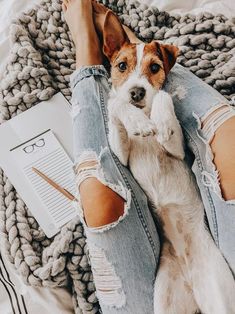 a small dog laying on top of a person's legs next to a book