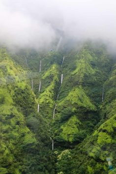 Wild Kauai Travel Core, Hawaiian Aesthetic, Wahine Toa, Rainforest Wedding, Napali Coast Kauai, Hanalei Bay Kauai, Wildlife Biology, Coastal Girl, Kauai Island