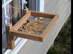 a window sill filled with nuts in front of a window