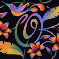 a colorful bird and flowers on a black background with the letter o in it's center