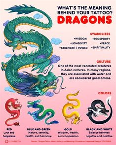 a poster with different types of dragon on it's back and the words written in spanish