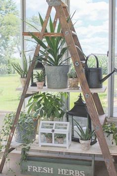 a wooden ladder is holding plants in pots and potted plants on a shelf next to a window