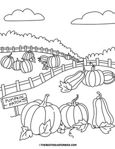 a farm scene with pumpkins and a fence