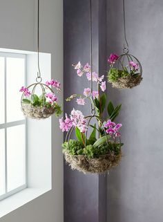 three hanging planters filled with pink and white flowers