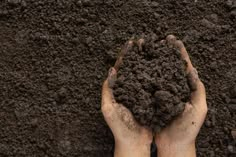 two hands holding dirt in the middle of a pile of dirt on top of soil