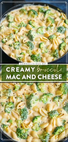 CREAMY BROCCOLI MAC AND CHEESE, comfort food, family dinner ideas Fun Easy Healthy Dinners, Easy Recipes Dinner Picky Eaters, Healthy Non Meat Dinners, Easy Pasta Recipes For Dinner, Easy Recipe With Broccoli, Simply Easy Dinner Ideas, Easy Healthy Dinner Meatless, Something Easy For Dinner Tonight, Quick Monday Dinner Ideas