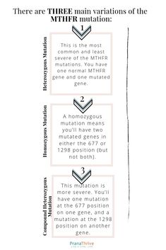 Have you had GI issues for a long time? Are you extremely tired or forgetful? Have you suffered from anxiety and depression for an extensive amount of time? If so, you could have an MTHFR gene mutation. Read more on The Truth about the MTHFR Gene Mutation and What You Need to Know here! | pranathrive.com Mthfr Gene Mutation Diet, Gi Issues, Health Quotes Inspirational, Gut Healing, Todo List