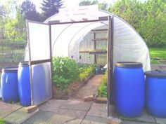 an outdoor greenhouse with blue barrels in the foreground