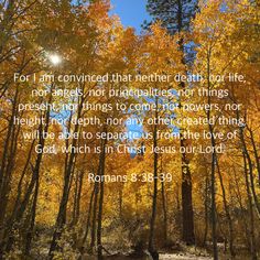 a forest filled with lots of trees covered in yellow leaves and the words romans 8 33 - 29