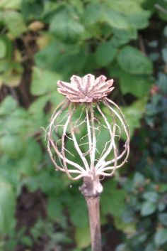 a close up of a metal object in front of some bushes and trees with green leaves