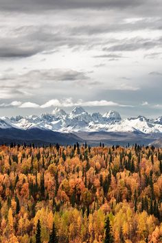 the mountains are covered in snow and trees with oranges, yellows, and green