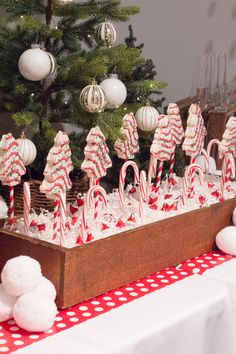 candy canes and candies are on display in a wooden box next to a christmas tree