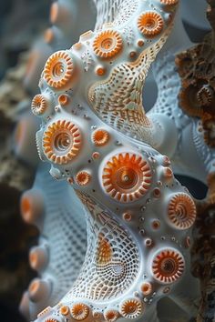 an orange and white seahorse is on display