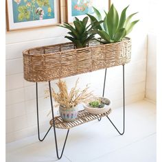 two succulents are sitting in a wicker planter on a stand