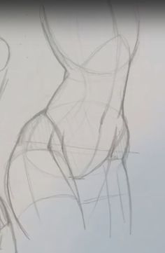 a drawing of a woman's torso and legs