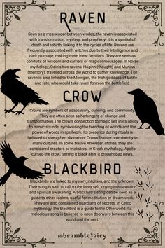 some type of poster with birds on it's sides and the words raven crow blackbird