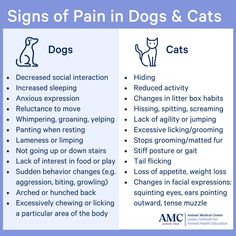 signs of pain in dogs and cats