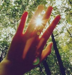 Hand In Sunlight, Sunlight Photography, Cherry Wine, Hand Pic, Sun Photo, Adventure Camping, Fantasy Aesthetic, Luz Natural, Enjoying The Sun