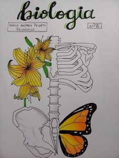 a drawing of a skeleton and flowers with the words biologia written on it