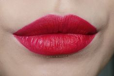 OFRA COSMETICS - ATLANTIC CITY LIP SWATCH