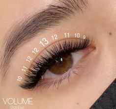 Mapping Hybrid Lashes, Simple Volume Lashes, Short Lash Extensions Styles, Eyelash Extensions Styles For Small Eyes, Short Wispy Lash Extensions Mapping