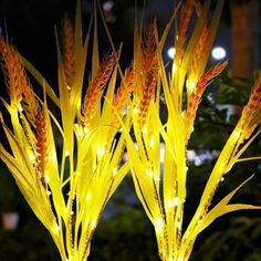 two yellow plants with lights on them in the dark