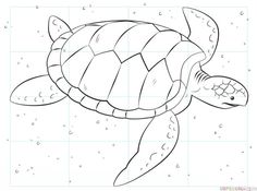 a drawing of a turtle swimming in the ocean