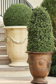 two large potted plants sitting next to each other in front of a set of stairs