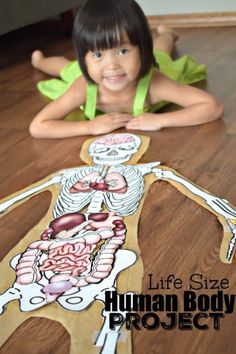 Teaching Prek, Body Parts For Kids, Human Body Worksheets, Human Body Model, Body Preschool, Human Body Science