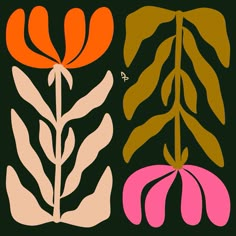 three different types of leaves on a black background, one with orange and the other pink