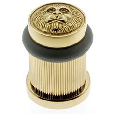 an image of a lion head knob on a white background