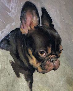 a painting of a black and brown dog on a white background with the caption'new posts '