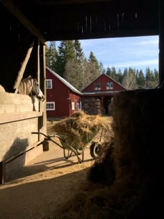 a barn with hay in the foreground and a horse standing on the other side