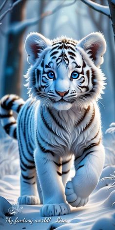 a white tiger is walking through the snow in front of some trees and bushes with blue eyes