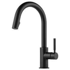 the black faucet is attached to the kitchen sink with an angled spout