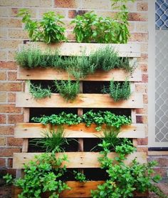 a wooden pallet filled with lots of plants next to a brick wall on the side of a building