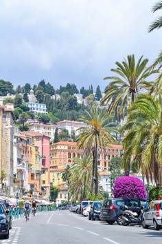 cars parked on the side of a road with palm trees and buildings in the background